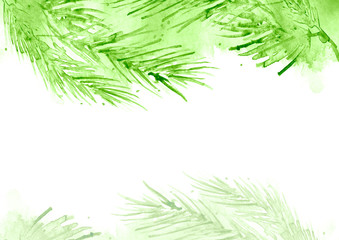 Fototapeta premium Branch of spruce, pine, cedar tree. Painted in watercolor, hand-drawn graphics. On a white background. For postcards, logos, your design. Watercolor Christmas tree branches. Hand painted texture.