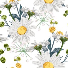 Floral seamless pattern with summer yellow herbs and chamomile (camomile) flowers. White background.