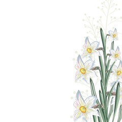 White narcissus flowers with leaves and herbs. A spring decorative bouquet. Small floral garland. 