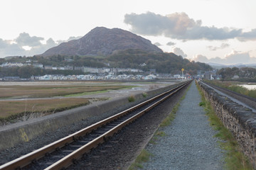 View Along the Cob