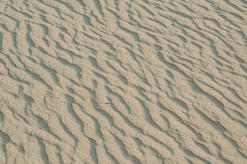 Fototapeta premium River building sand patterns from the wind, natural background. Shallow depth of focus in the center. 