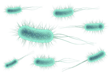 Fototapeta premium 3d rendering bacteria