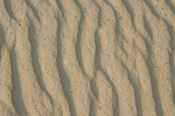 River building sand patterns from the wind, natural background. Shallow depth of focus in the center.
