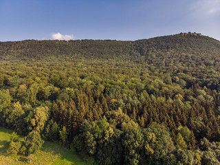 Obraz premium Waldlandschaft - Luftaufnahme