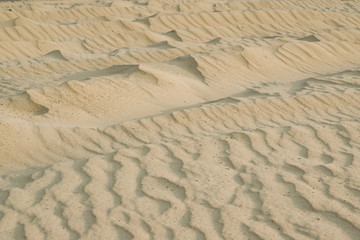 River building sand patterns from the wind, natural background. Shallow depth of focus in the center.
