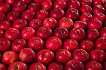 Apples mac in the water droplets. The background image