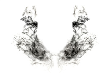Obraz na płótnie Canvas dark wings smoke