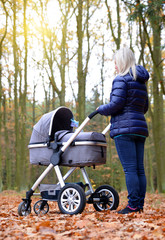 Woman with baby stroller in autumn park.