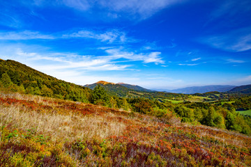 Fototapeta premium Landscape of autumnal peaks of the Carpathians.