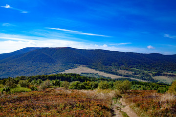 Fototapeta premium Landscape of autumnal peaks of the Carpathians.