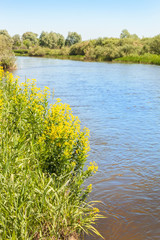 River on a sunny spring day