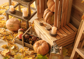 Beautiful autumn decorations in room
