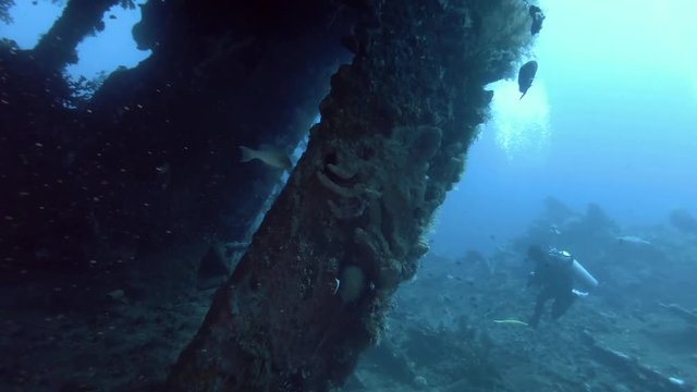 Scuba diver on the shipwreck USAT Liberty - Bali, Oceania, Indonesia