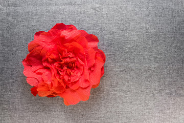 red paper flowers on a gray background