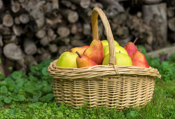 basket, fruit, apple, food, red, apples, fresh, healthy, ripe, isolated, autumn, white, organic,...