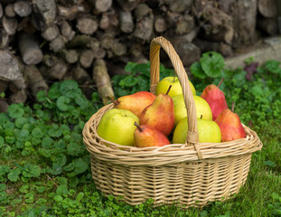 basket, fruit, apple, food, red, apples, fresh, healthy, ripe, isolated, autumn, white, organic, harvest, wicker, freshness, agriculture, juicy, sweet, nature, vegetarian, crop, green, diet, delicious