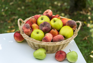 basket, fruit, apple, food, red, apples, fresh, healthy, ripe, isolated, autumn, white, organic, harvest, wicker, freshness, agriculture, juicy, sweet, nature, vegetarian, crop, green, diet, delicious