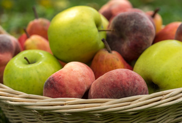 basket, fruit, apple, food, red, apples, fresh, healthy, ripe, isolated, autumn, white, organic, harvest, wicker, freshness, agriculture, juicy, sweet, nature, vegetarian, crop, green, diet, delicious
