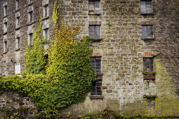Fototapeta na wymiar old brick building by the river in Galway