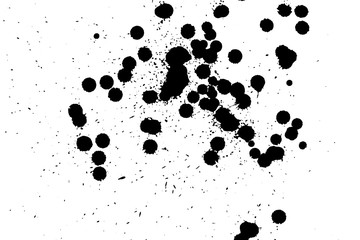 Ink grunge drops texture. Black hand drawn splashes and stains on white background.