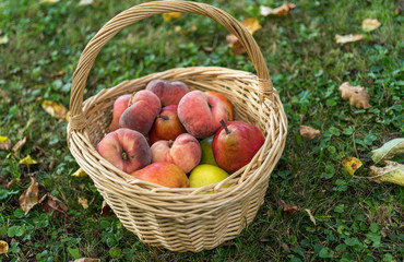 basket, fruit, apple, food, red, apples, fresh, healthy, ripe, isolated, autumn, white, organic, harvest, wicker, freshness, agriculture, juicy, sweet, nature, vegetarian, crop, green, diet, delicious