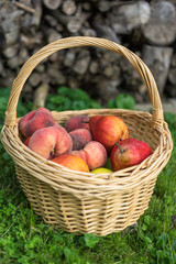 basket, fruit, apple, food, red, apples, fresh, healthy, ripe, isolated, autumn, white, organic, harvest, wicker, freshness, agriculture, juicy, sweet, nature, vegetarian, crop, green, diet, delicious