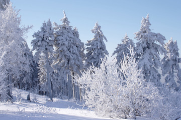 Winter landscape on the Feldberg in the Taunus, Germany.