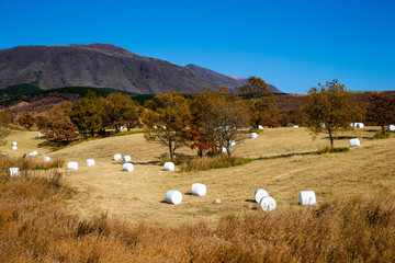 草原の風景