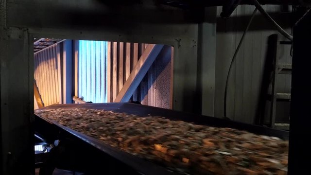 Wood chips moving on conveyer belt at a paper mill