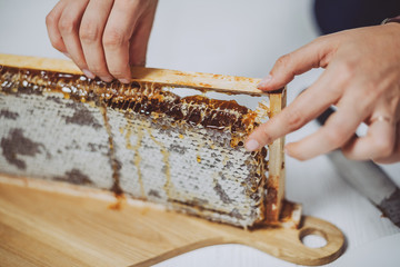 Holding a frame of honeycomb
