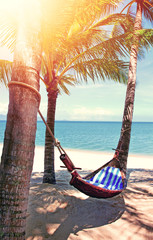 Beautiful beach.  Hammock between two palm trees on the beach. Holiday and vacation concept. Tropical beach.