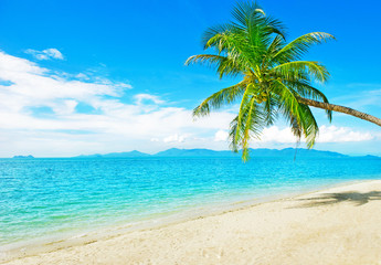 Fototapeta na wymiar Tropical beach at Thailand - vacation background