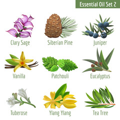 Essential Oil Set in a Realstic Style
