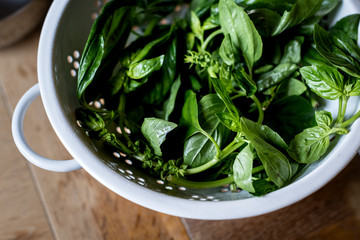 Fresh green basil in the kitchen