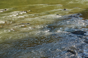 The mountain river quickly flows through stone rapids along woodlands and rocks. Close-up. Water...