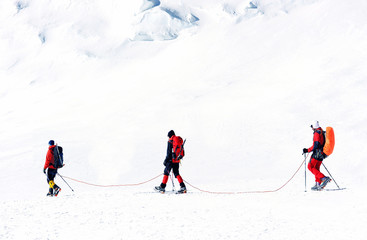 Tied mountaineers climbing mountain crossing snow field tied with a rope