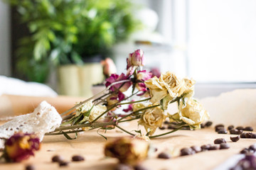 Dried rose flowers on light wooden background
