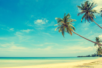 Obraz na płótnie Canvas Beautiful beach. View of nice tropical beach with palms around. Holiday and vacation concept. Tropical beach. Beautiful tropical island.