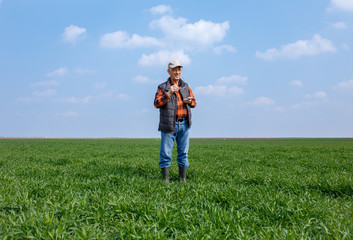 Naklejka na ściany i meble Senior farmer in filed looking at distance and examining young wheat corp during the sunny day.
