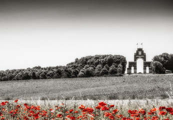 poppy on world war one battlefield france