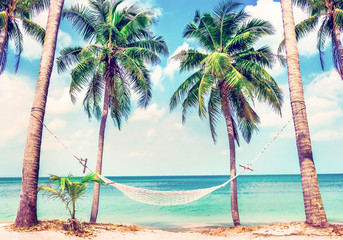 Beautiful beach. View of nice tropical beach with palms around. Holiday and vacation concept.  Tropical beach. Beautiful tropical island in Thailand.