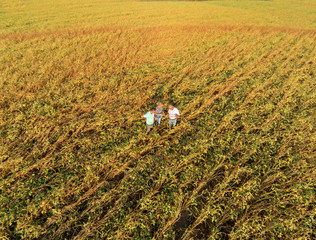 Aerial view of three farmers standing in a field examining soybean crop.