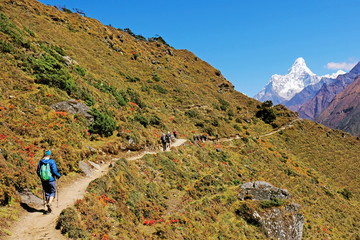 Hiker with backpacks reaches the summit of mountain peak. Success, freedom and happiness, achievement in mountains. Active sport concept..