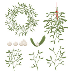 Christmas mistletoe with berry, leaves, sprig, wreath and branches. Vector cartoon holiday decoration element set isolated on a white background.