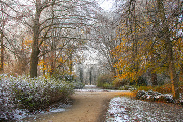 Park in fall with snow