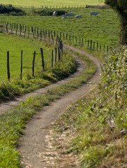 Chemin rural à Villereversure, Ain, France