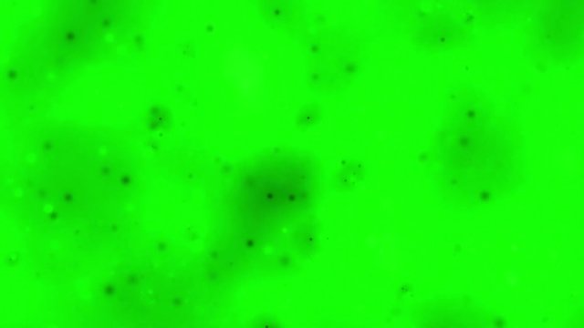 Bio breeding ground for microorganisms at experiments in chemistry and biology. Nourishing solution