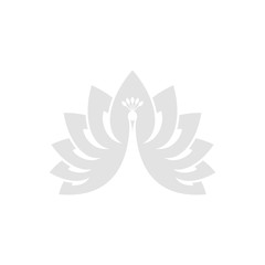 White peacock. Abstract bird