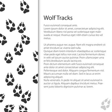 Cover Design with Traces of Forest Animal, Traces of a Predatory Animal Wolf, Vector Illustration
