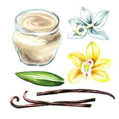 Vanilla cream with flower, leaf and pods set. Watercolor hand drawn illustration, isolated on white background